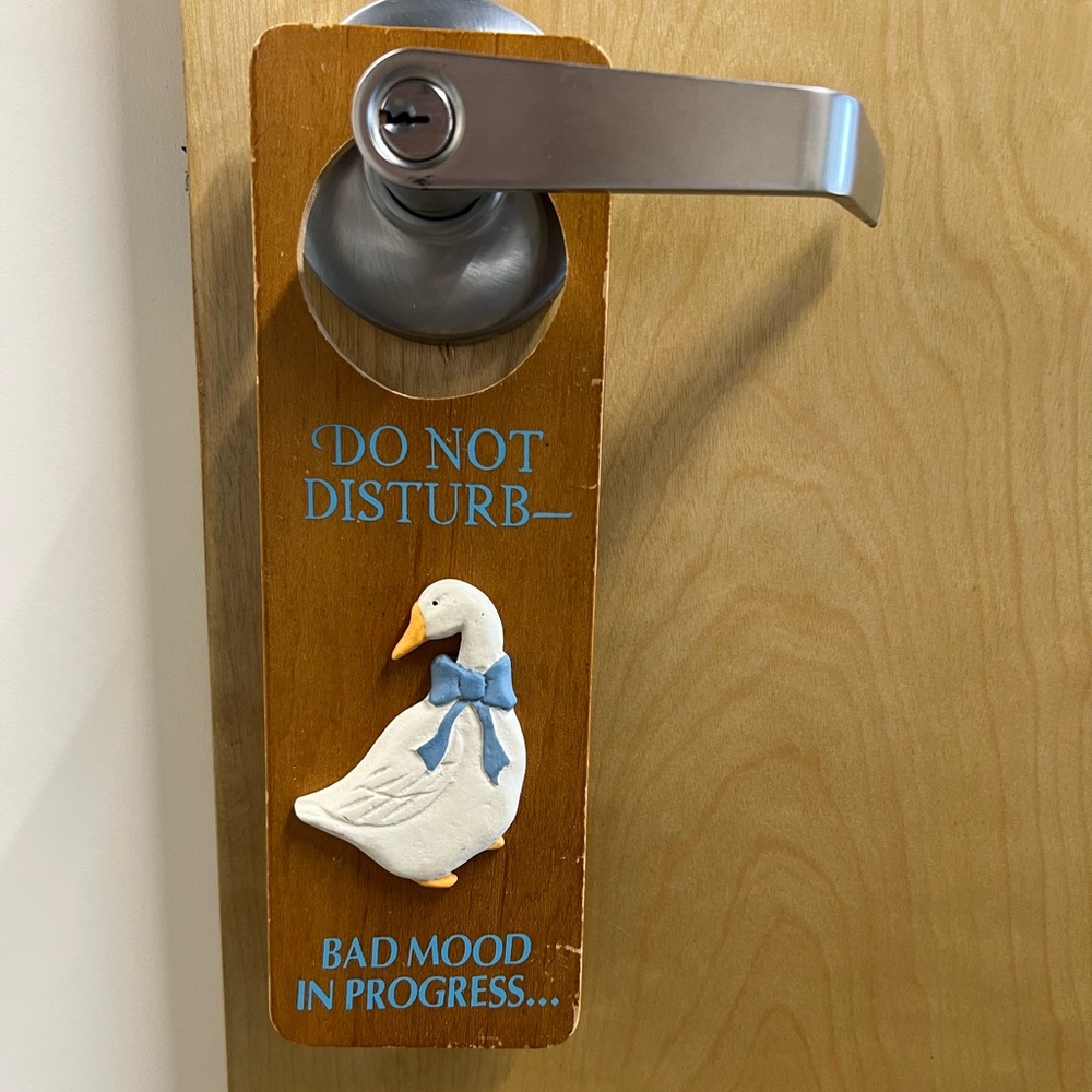 Do Not Disturb Goose Door Hanger Vintage - Picture 2 of 7